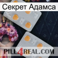 Секрет Адамса 25